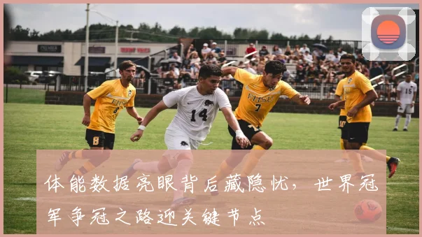 体能数据亮眼背后藏隐忧，世界冠军争冠之路迎关键节点